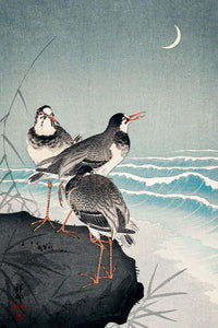 Snipes at the Shore by Ohara Koson