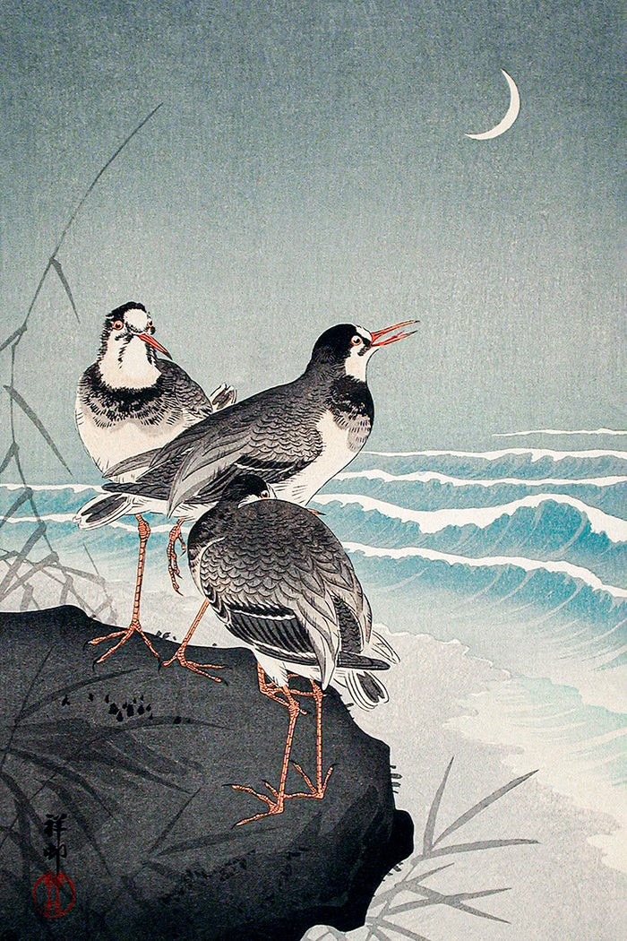 Snipes at the Shore by Ohara Koson