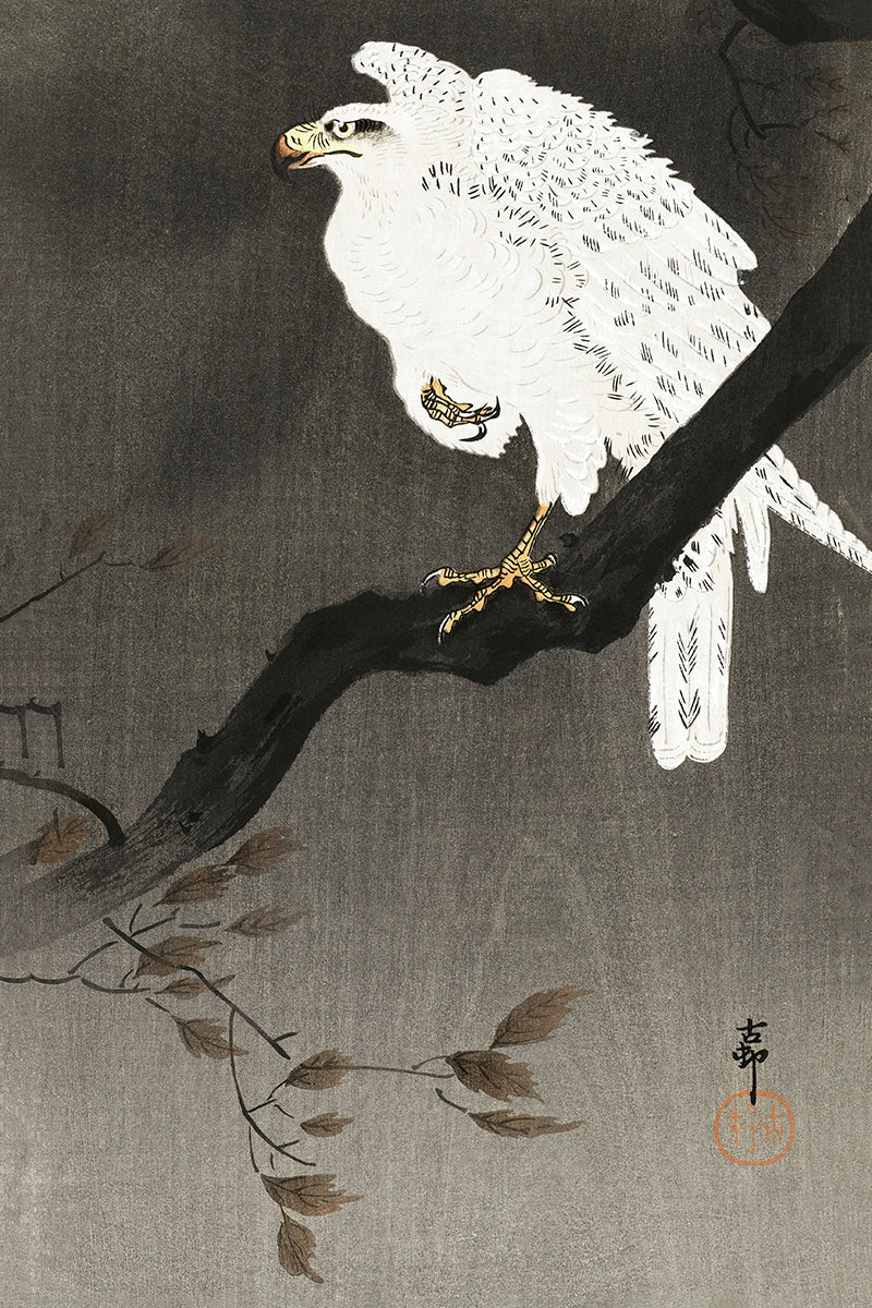 Snowy eagle on a tree branch by Ohara Koson