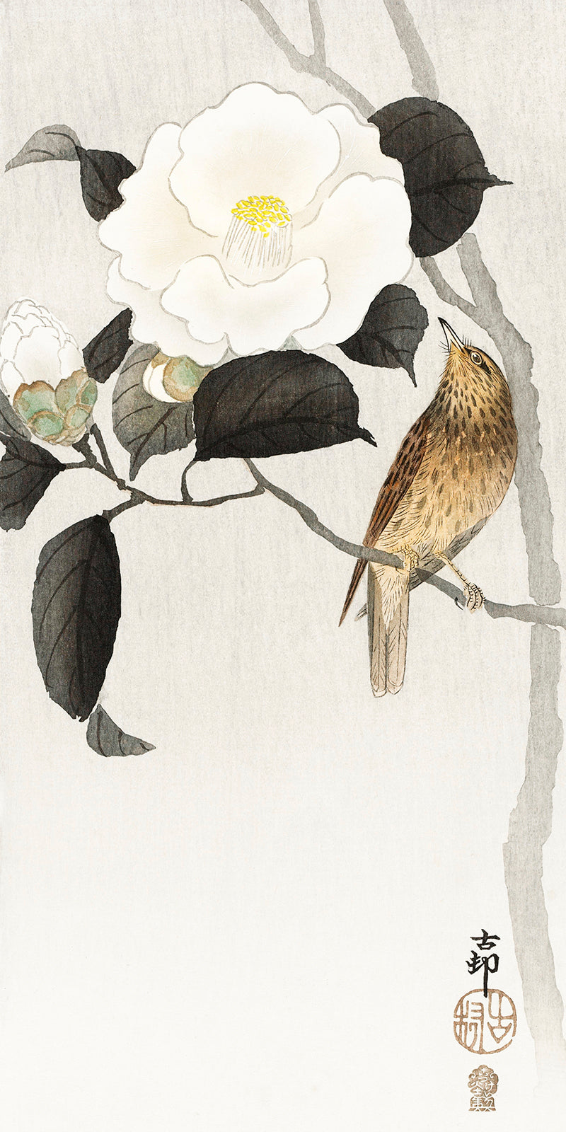 Songbird and flowering camellia by Ohara Koson