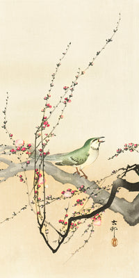 Songbird and plum blossom by Ohara Koson