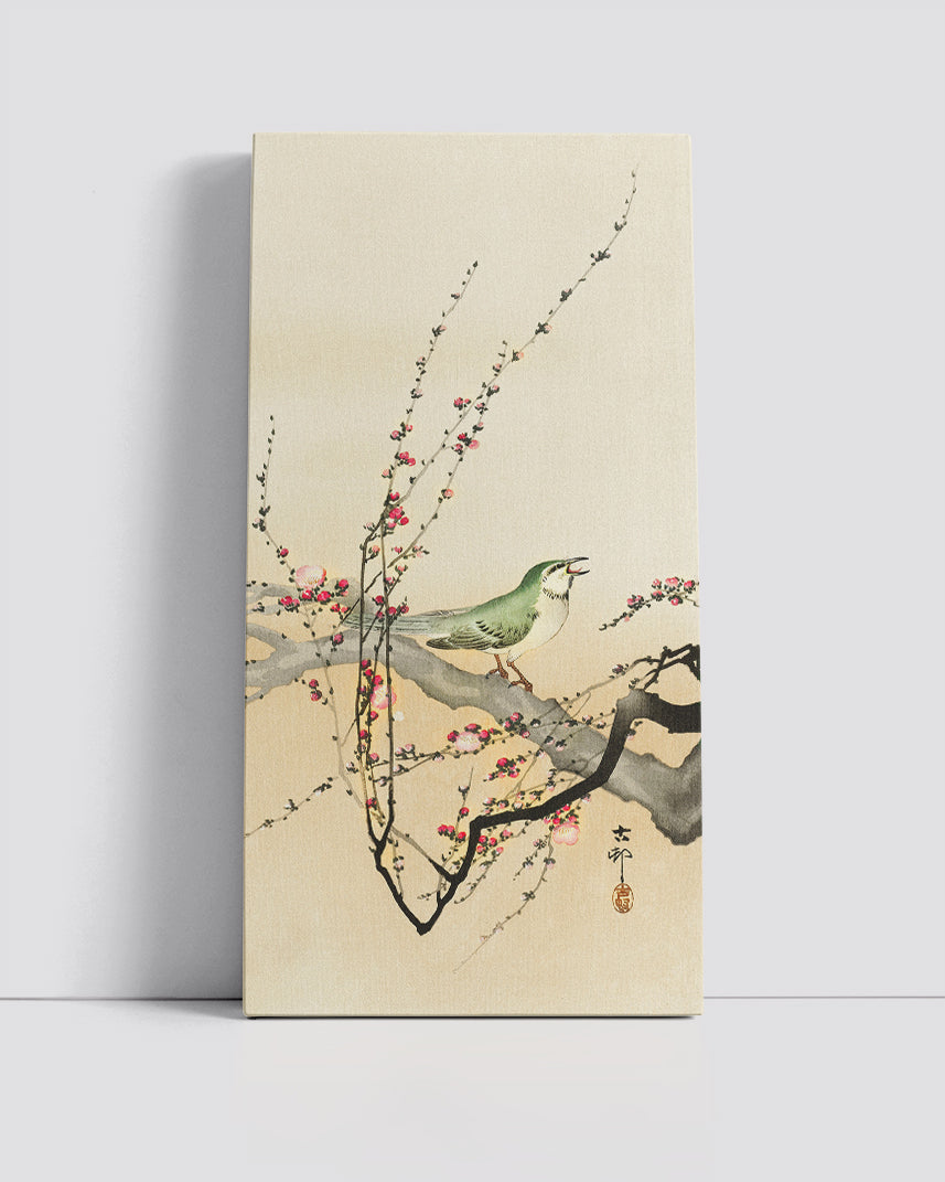 Songbird and plum blossom by Ohara Koson