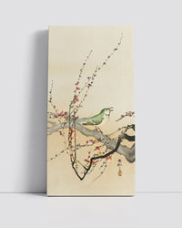 Songbird and plum blossom by Ohara Koson