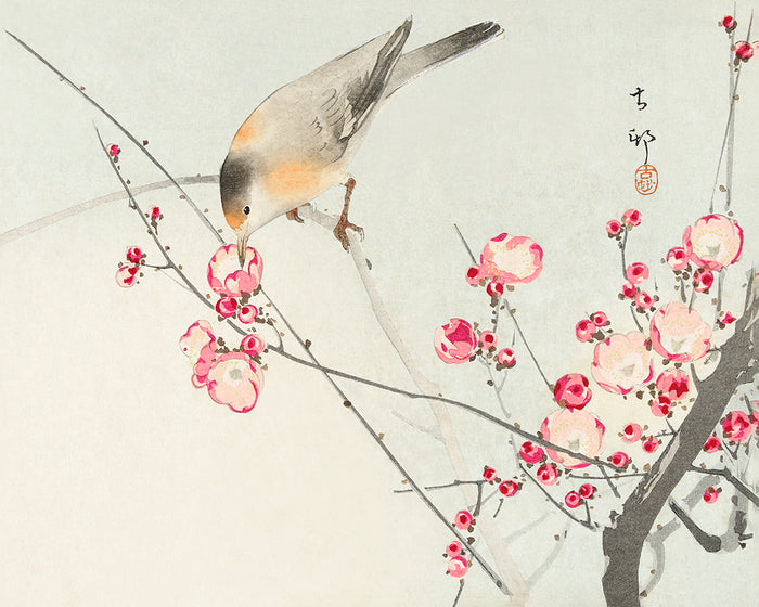 Songbird on blossom branch by Ohara Koson