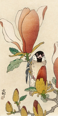 Sparrow on blooming magnolia branch by Ohara Koson