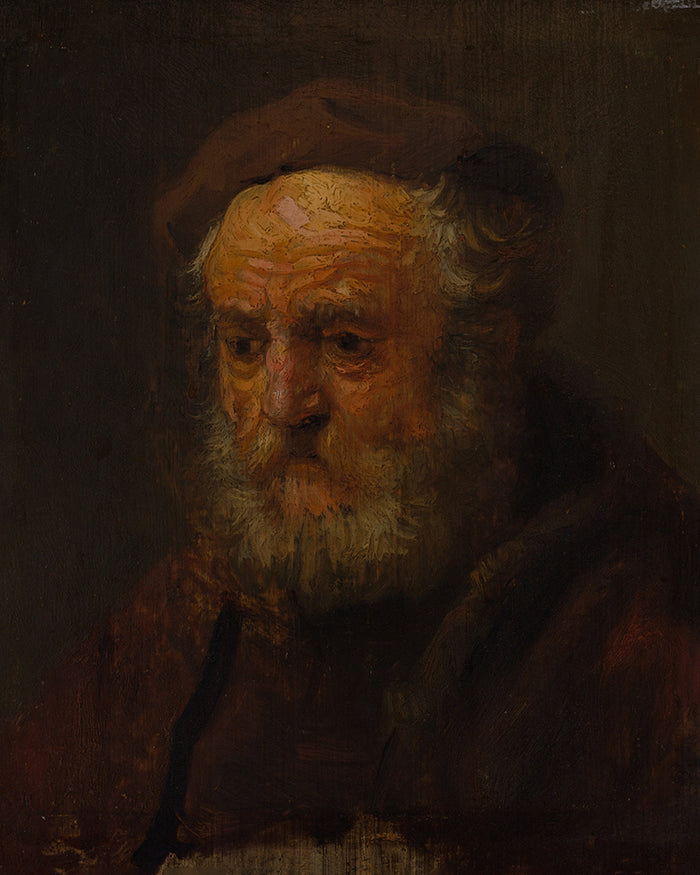 Study Head of an Old Man by Rembrandt Harmenszoon van Rijn