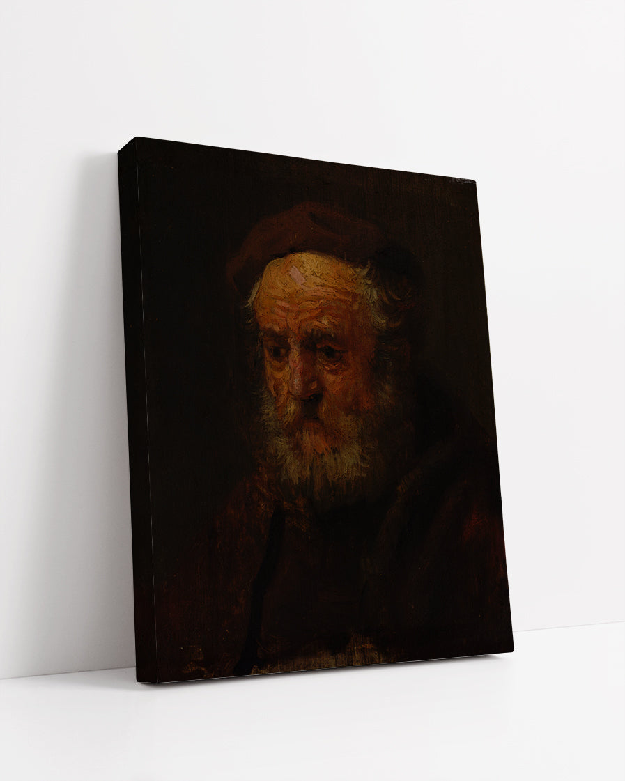 Study Head of an Old Man by Rembrandt Harmenszoon van Rijn