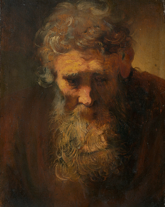 Study of an Old Man by Rembrandt Harmenszoon van Rijn