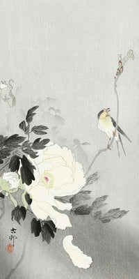 Swallow with Peony by Ohara Koson