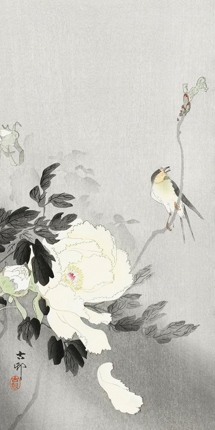 Swallow with Peony by Ohara Koson