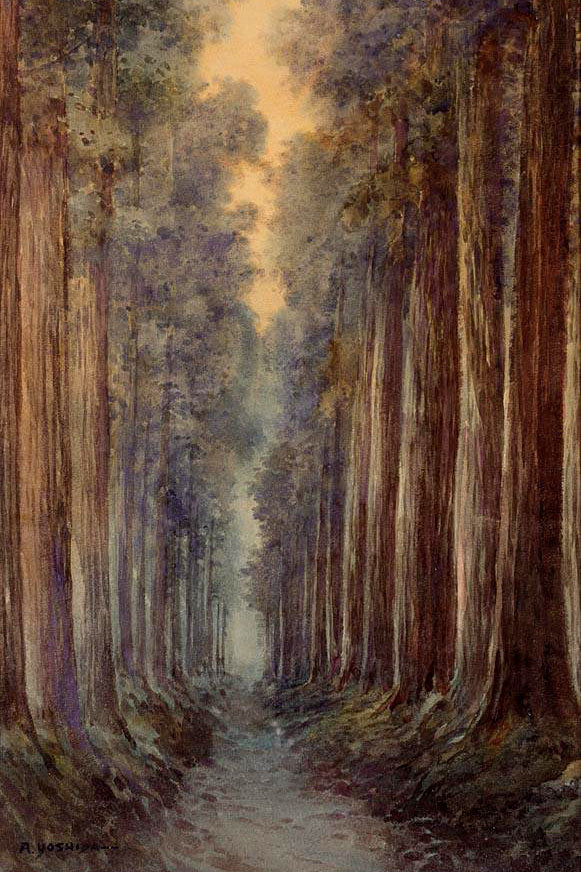 The cryptomeria avenue by Hiroshi Yoshida