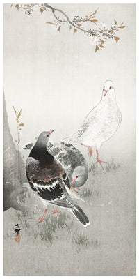 Three pigeons by Ohara Koson