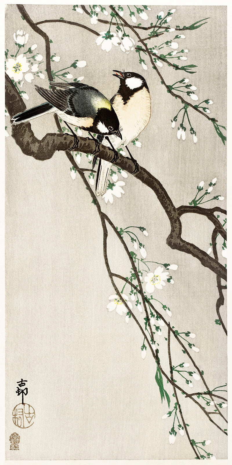 Tits on Cherry Branch by Ohara Koson