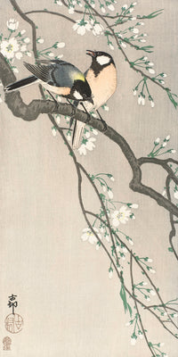 Tits on Cherry Branch by Ohara Koson