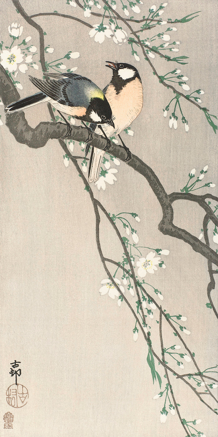 Tits on Cherry Branch by Ohara Koson