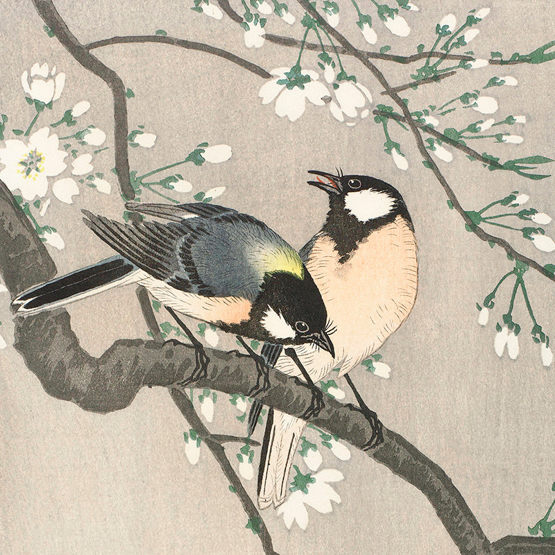 Tits on Cherry Branch by Ohara Koson