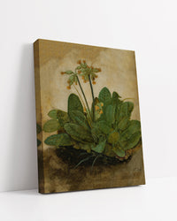 Tuft of Cowslips' or 'Primula' by Albrecht Durer