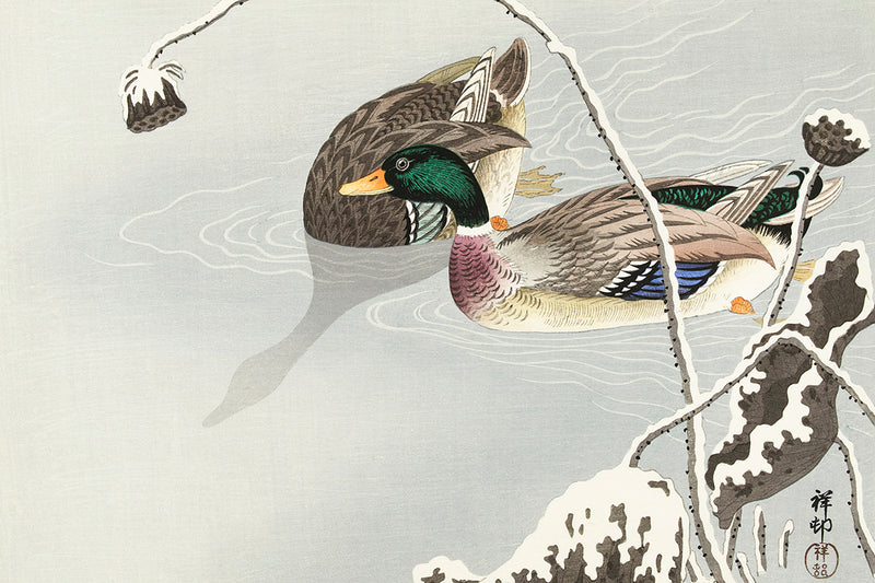 Two Mallards near a Snow-Covered Lotus by Ohara Koson