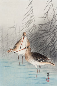 Two bar-tailed godwits by Ohara Koson