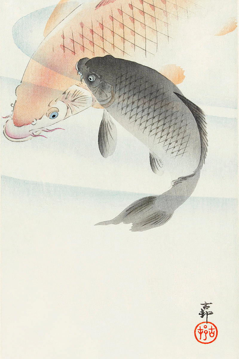 Two carp by Ohara Koson