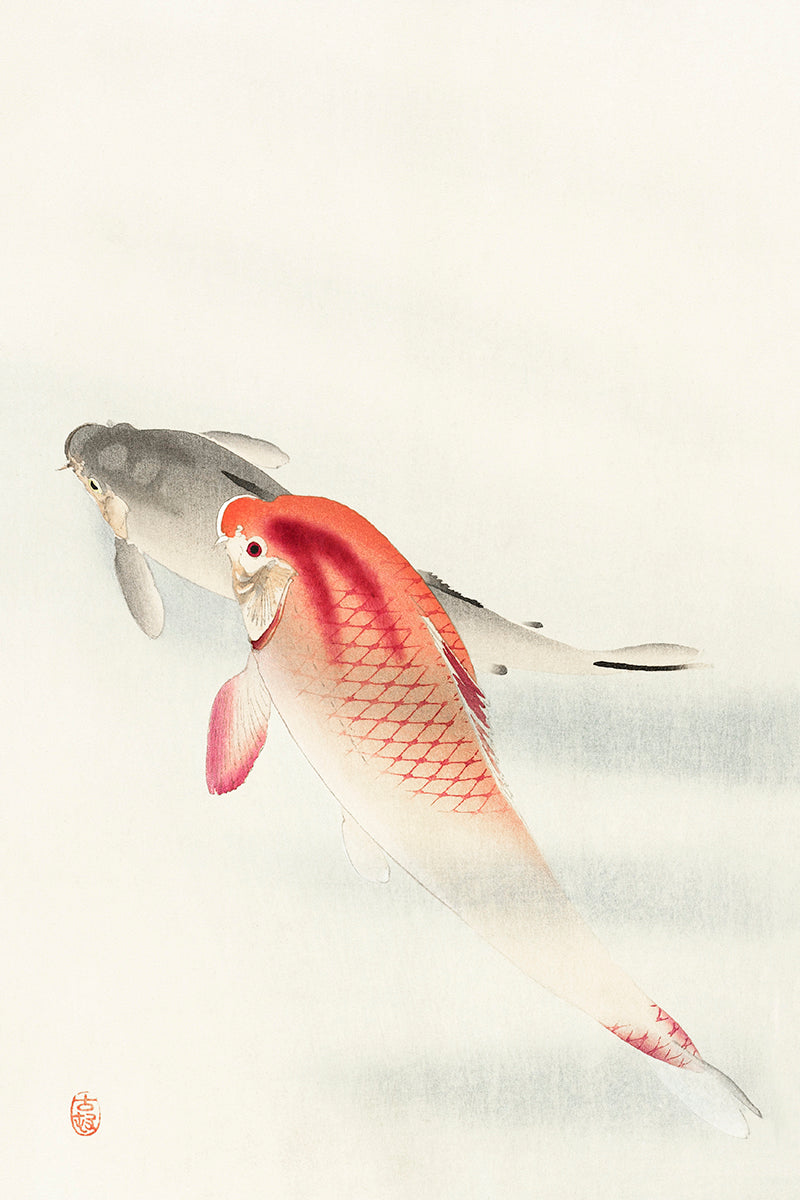 Two carp111 by Ohara Koson