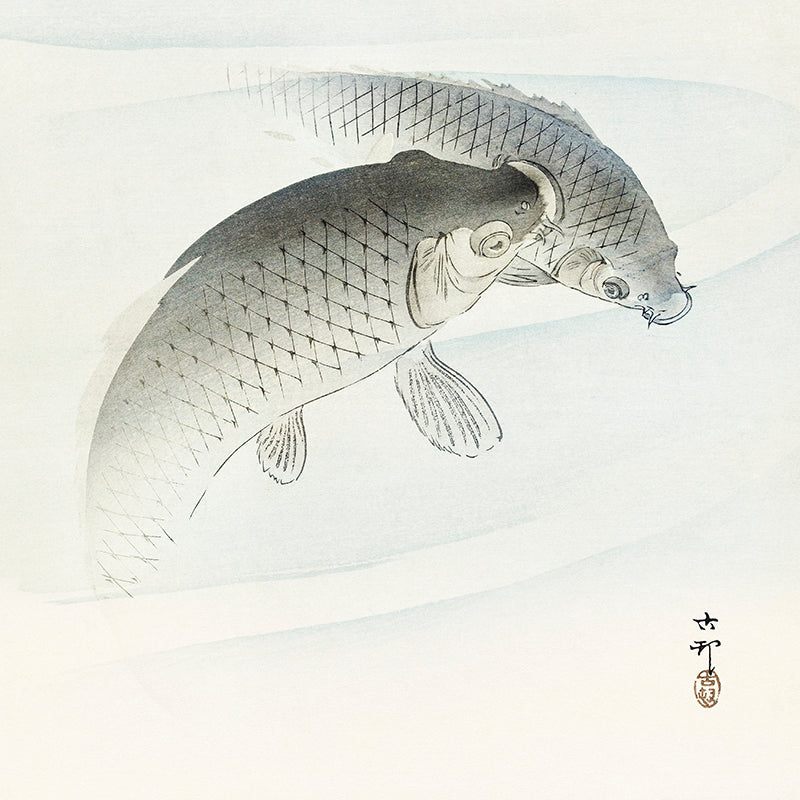 Two carp fish by Ohara Koson