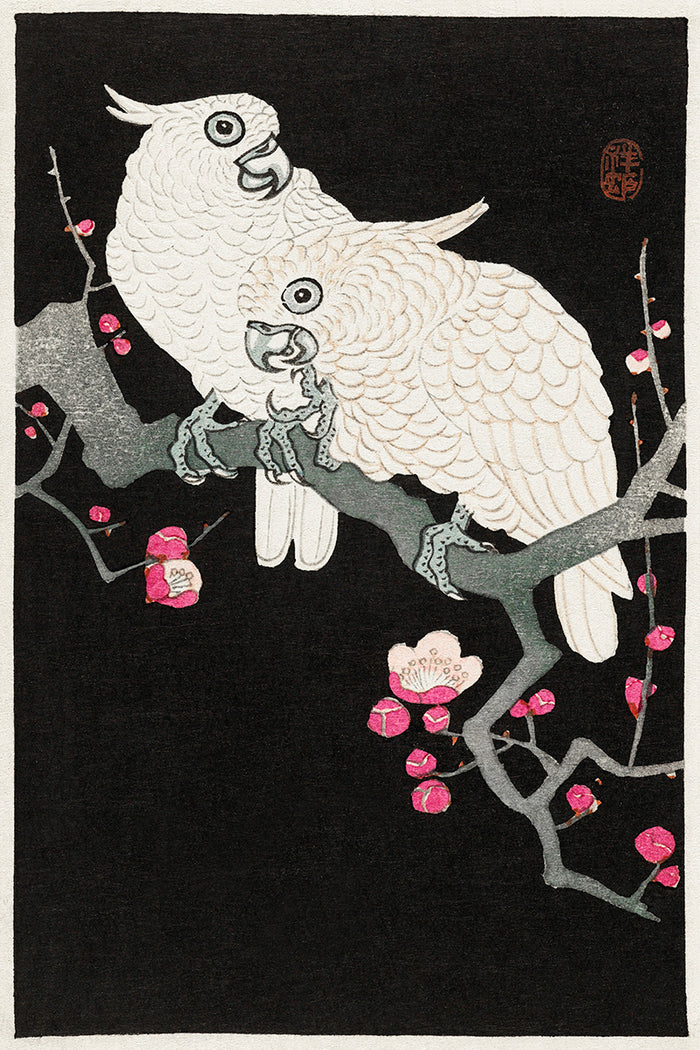 Two cockatoo and plum blossom by Ohara Koson