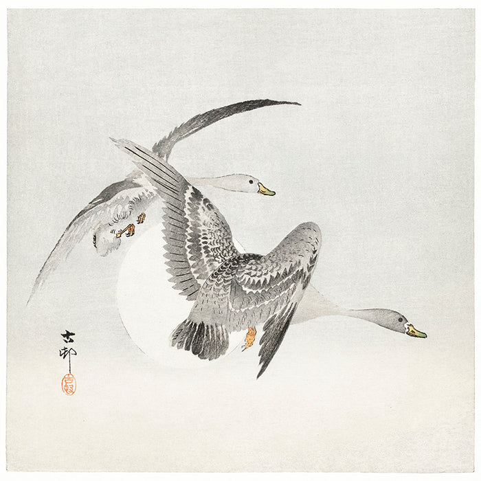 Two colt geese in flight by Ohara Koson