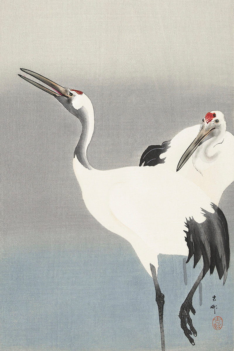 Two cranes by Ohara Koson