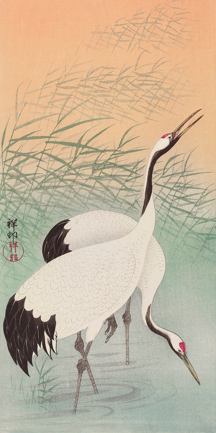 Two cranes by Ohara Koson