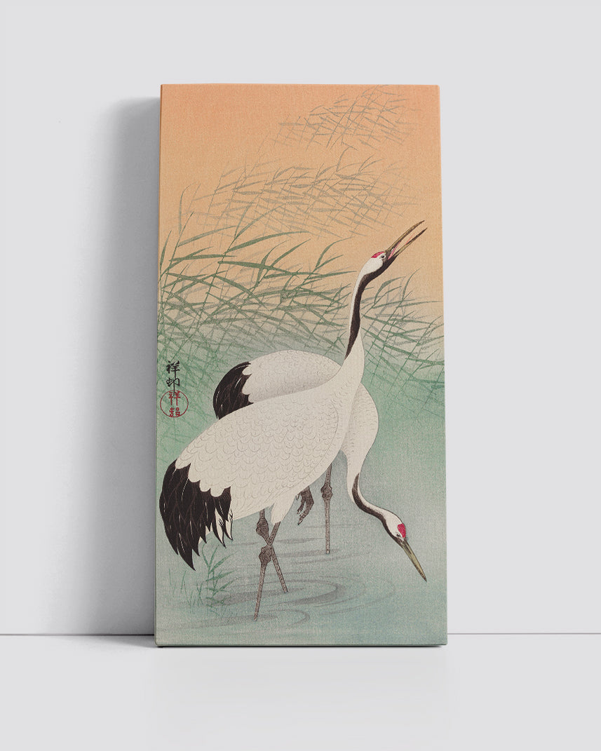 Two cranes by Ohara Koson