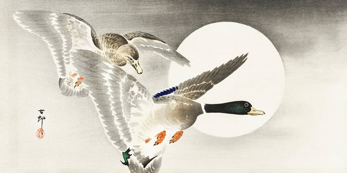 Two ducks at full moon by Ohara Koson