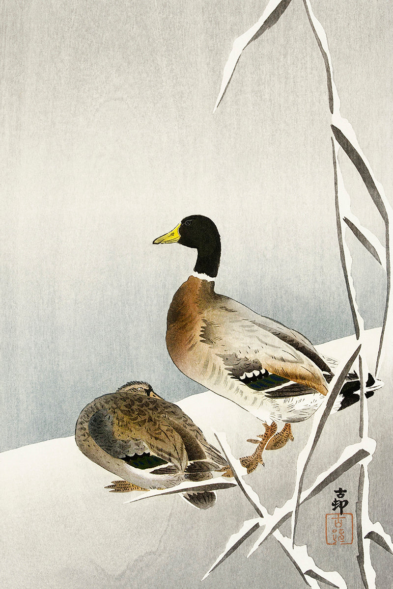 Two ducks on snowy reed by Ohara Koson