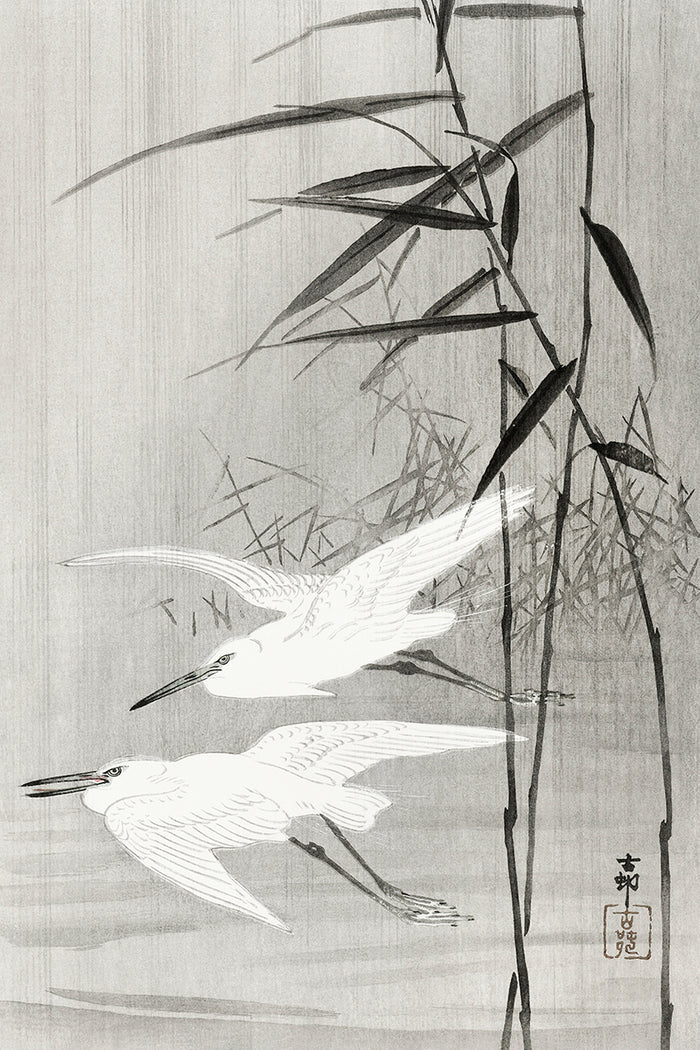 Two egrets in flight by Ohara Koson