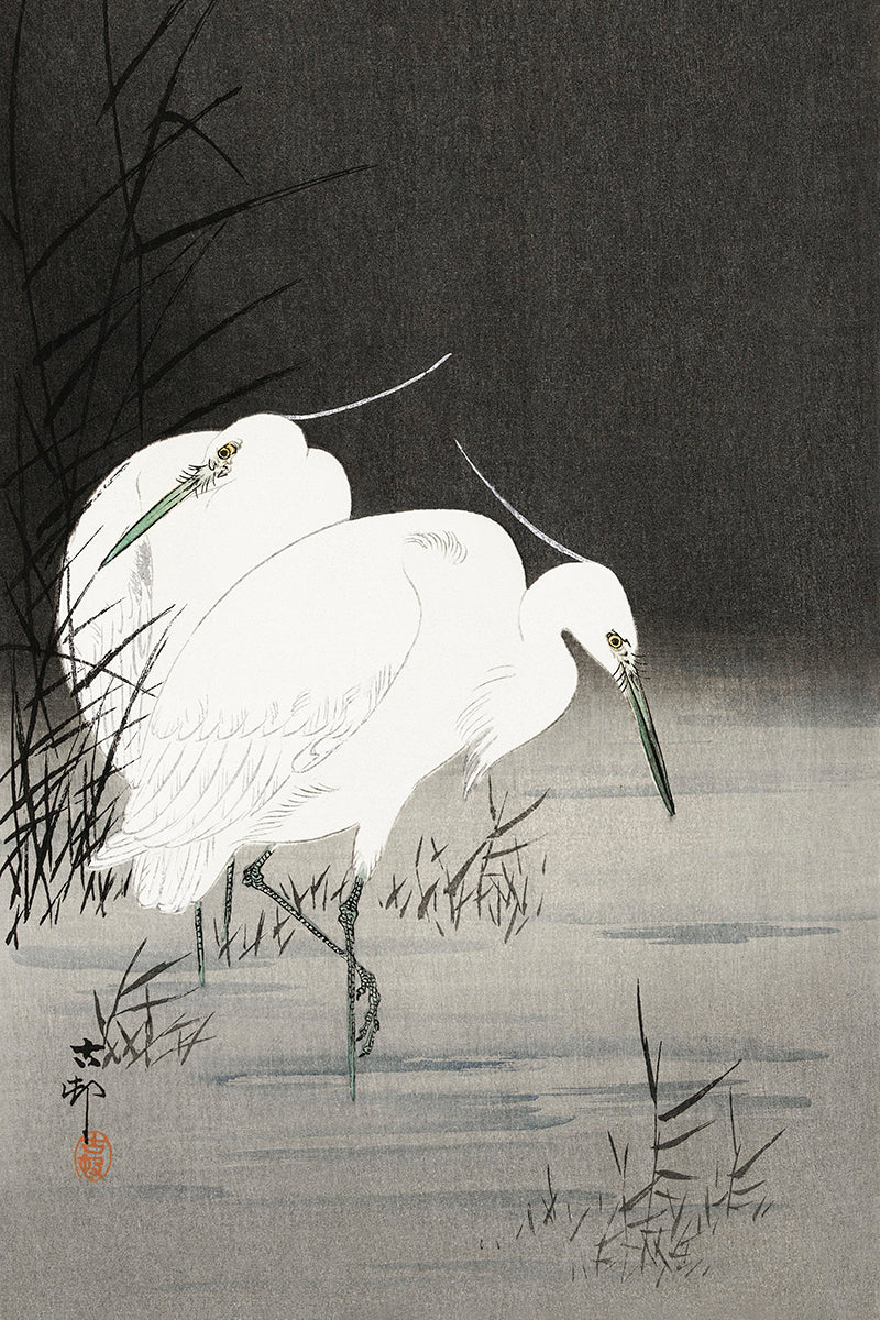 Two egrets in the reeds by Ohara Koson