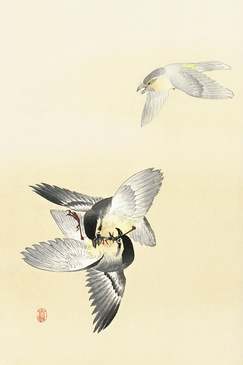 Two fighting birds by Ohara Koson