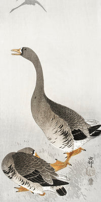 Two geese-1 by Ohara Koson