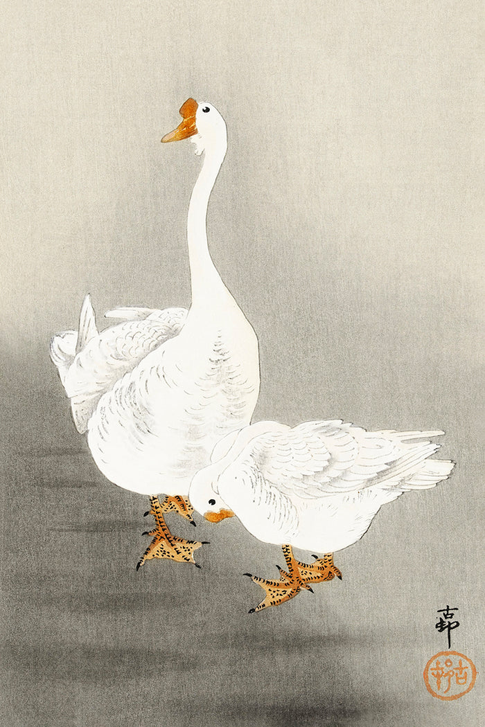 Two geese by Ohara Koson