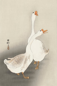 Two geese by Ohara Koson