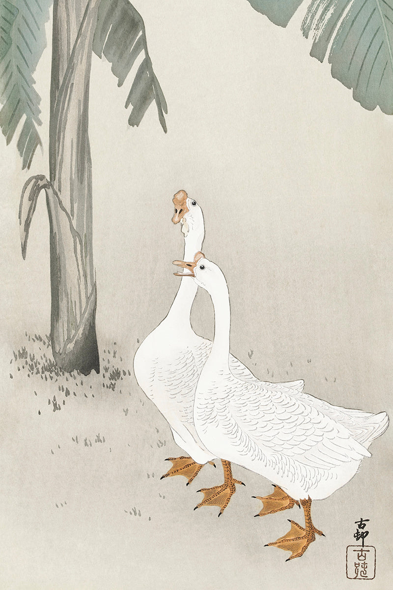 Two geese at banana tree by Ohara Koson