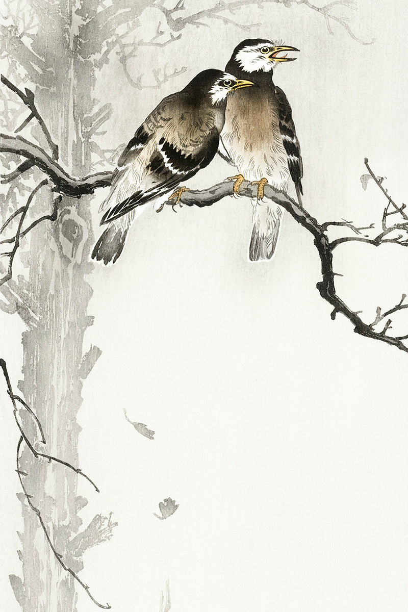 Two gray starlings by Ohara Koson