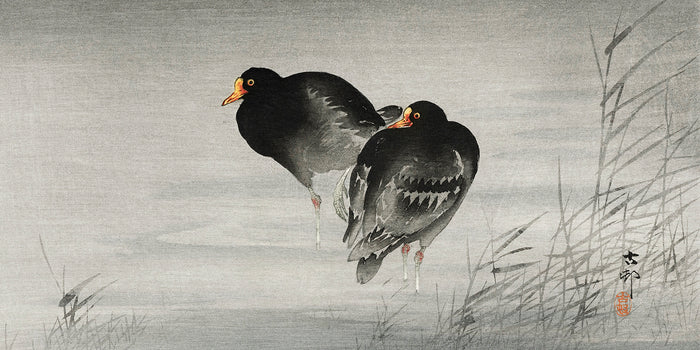 Two moorhens by Ohara Koson