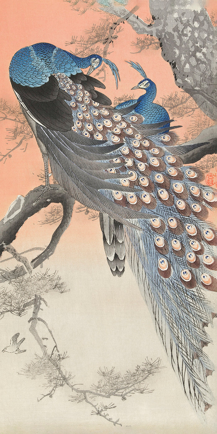 Two peacocks on tree branch by Ohara Koson