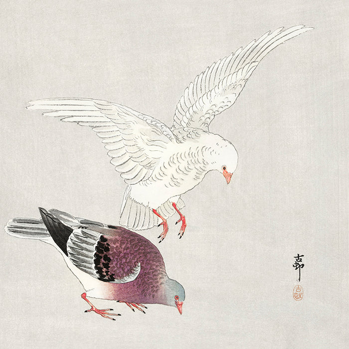 Two pigeons by Ohara Koson