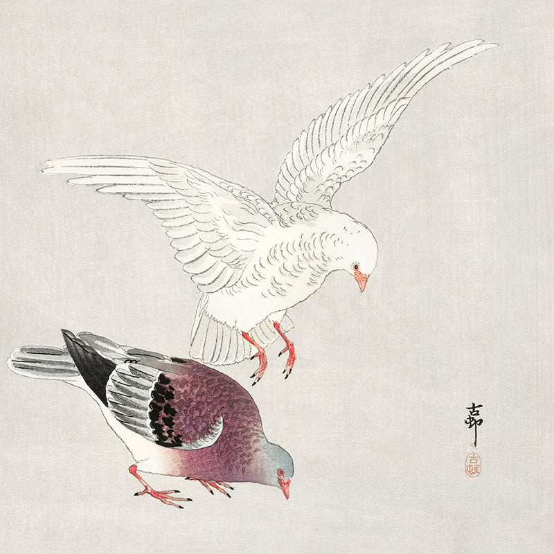 Two pigeons by Ohara Koson