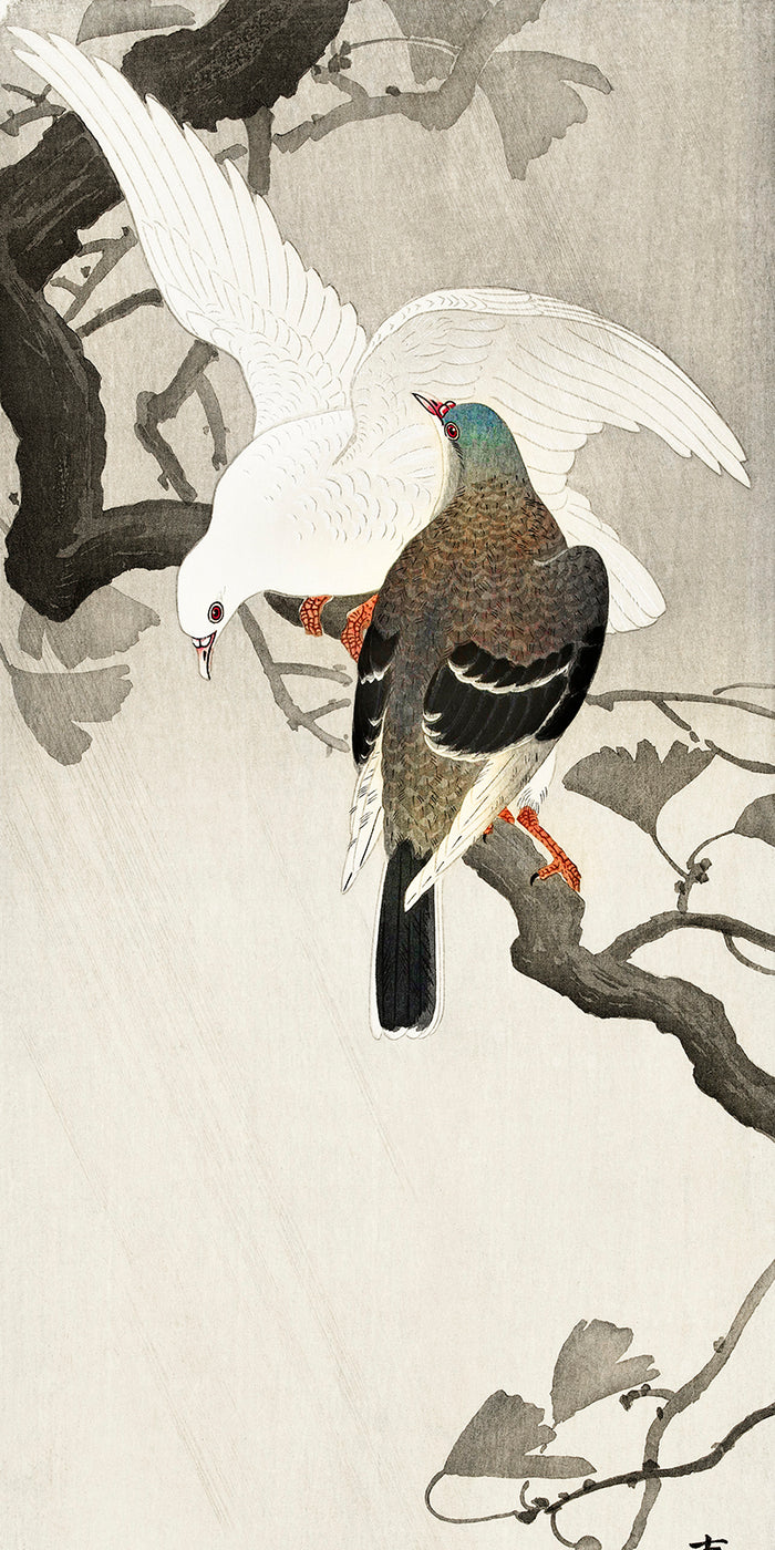 Two pigeons on a branch by Ohara Koson