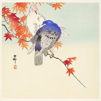 Two pigeons on autumn branch by Ohara Koson