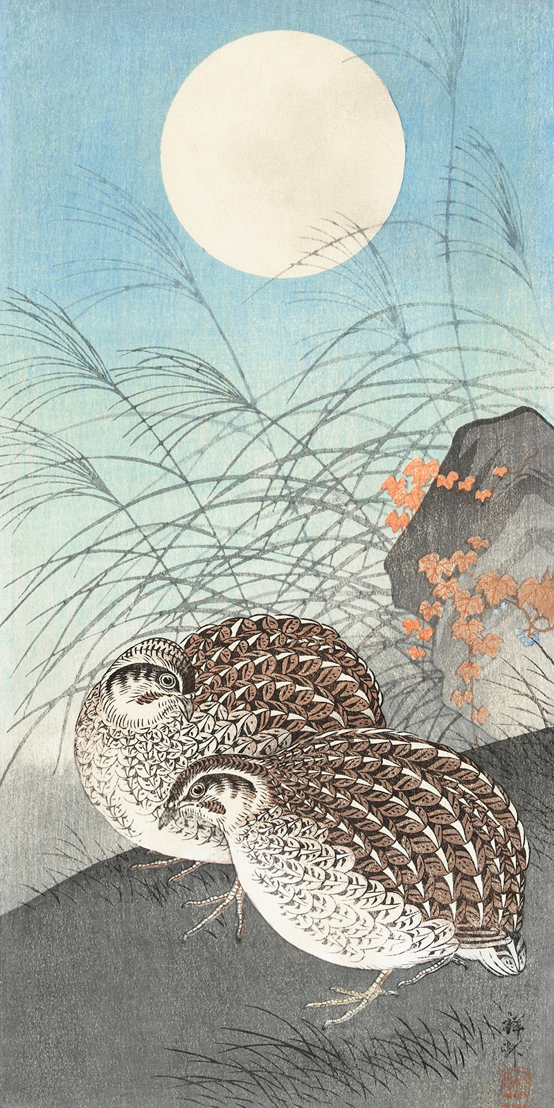 Two quails at full moon by Ohara Koson