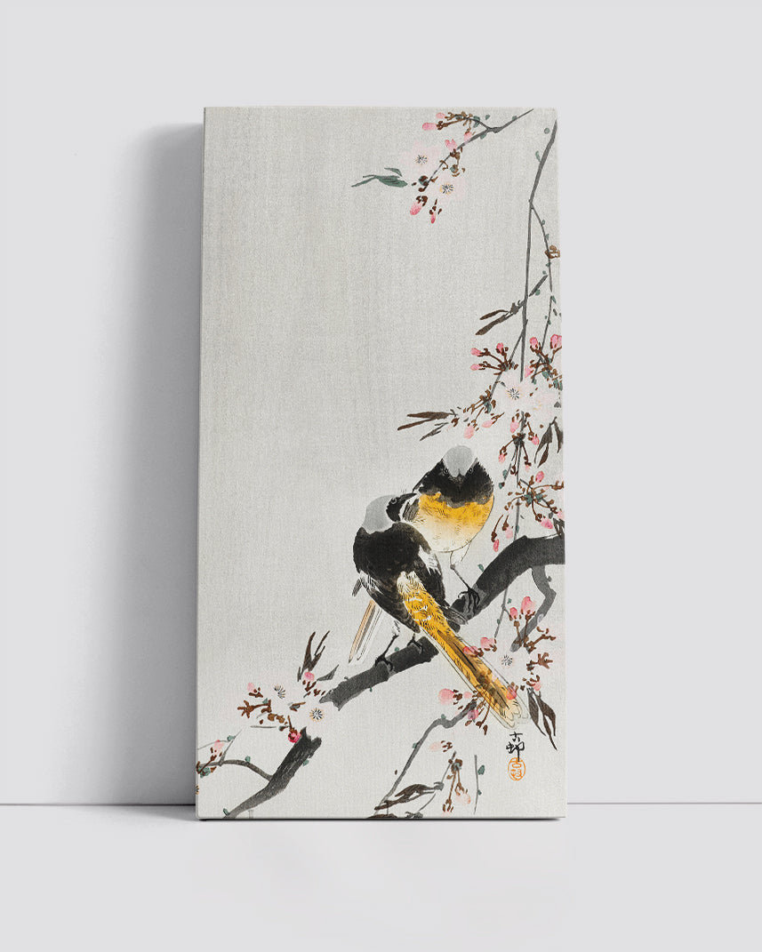 Two sable red tails with cherry blossom by Ohara Koson