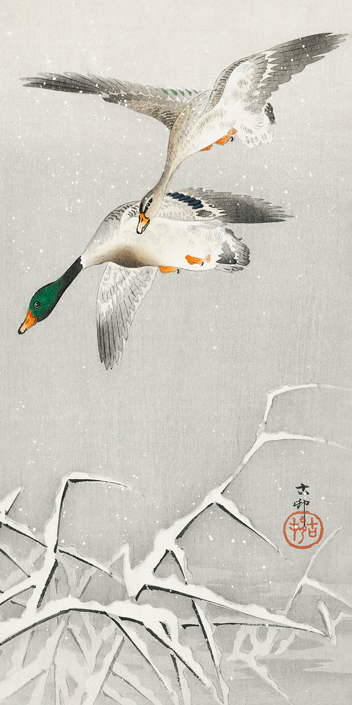 Two wild ducks in flight by Ohara Koson